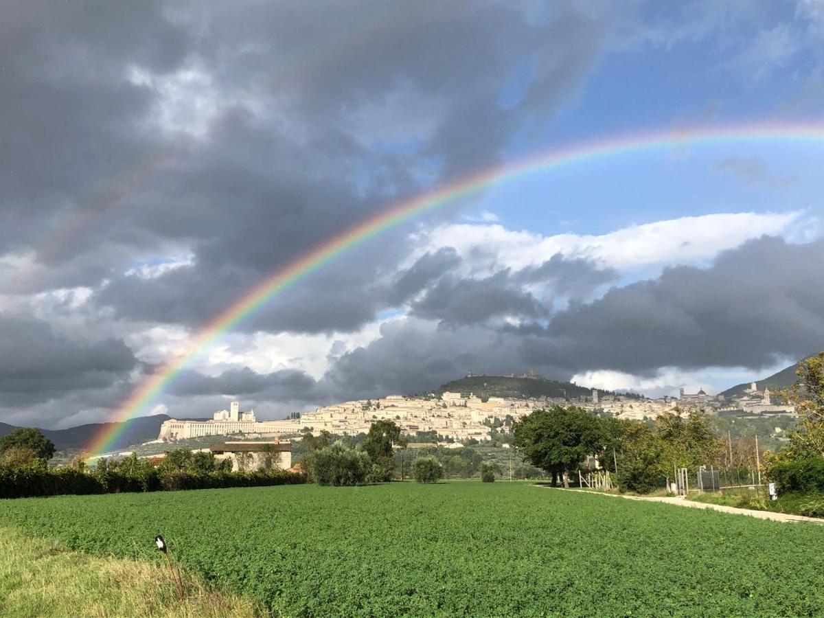 La Casa Dell'Artista Leilighet Assisi Eksteriør bilde