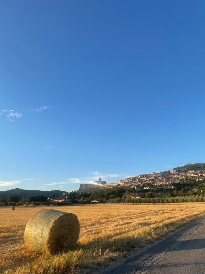La Casa Dell'Artista Leilighet Assisi Eksteriør bilde